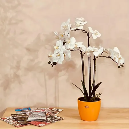 Appartement Astoria Loft Elite Free Parking,wifi,ac,elevator Budapest